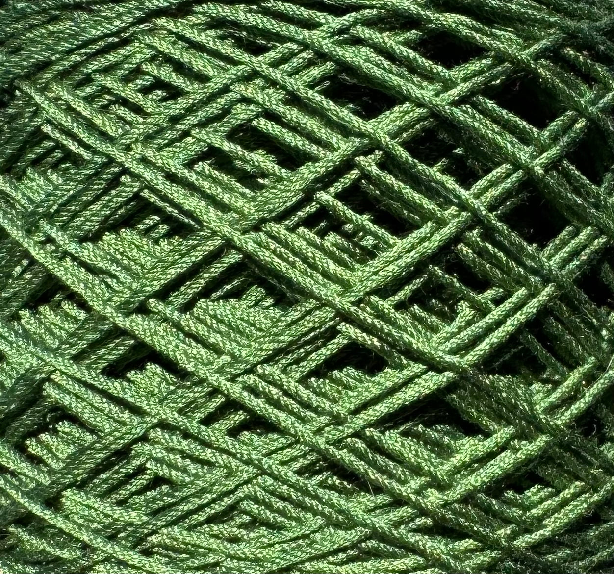 579-8 Greenskin Avocado