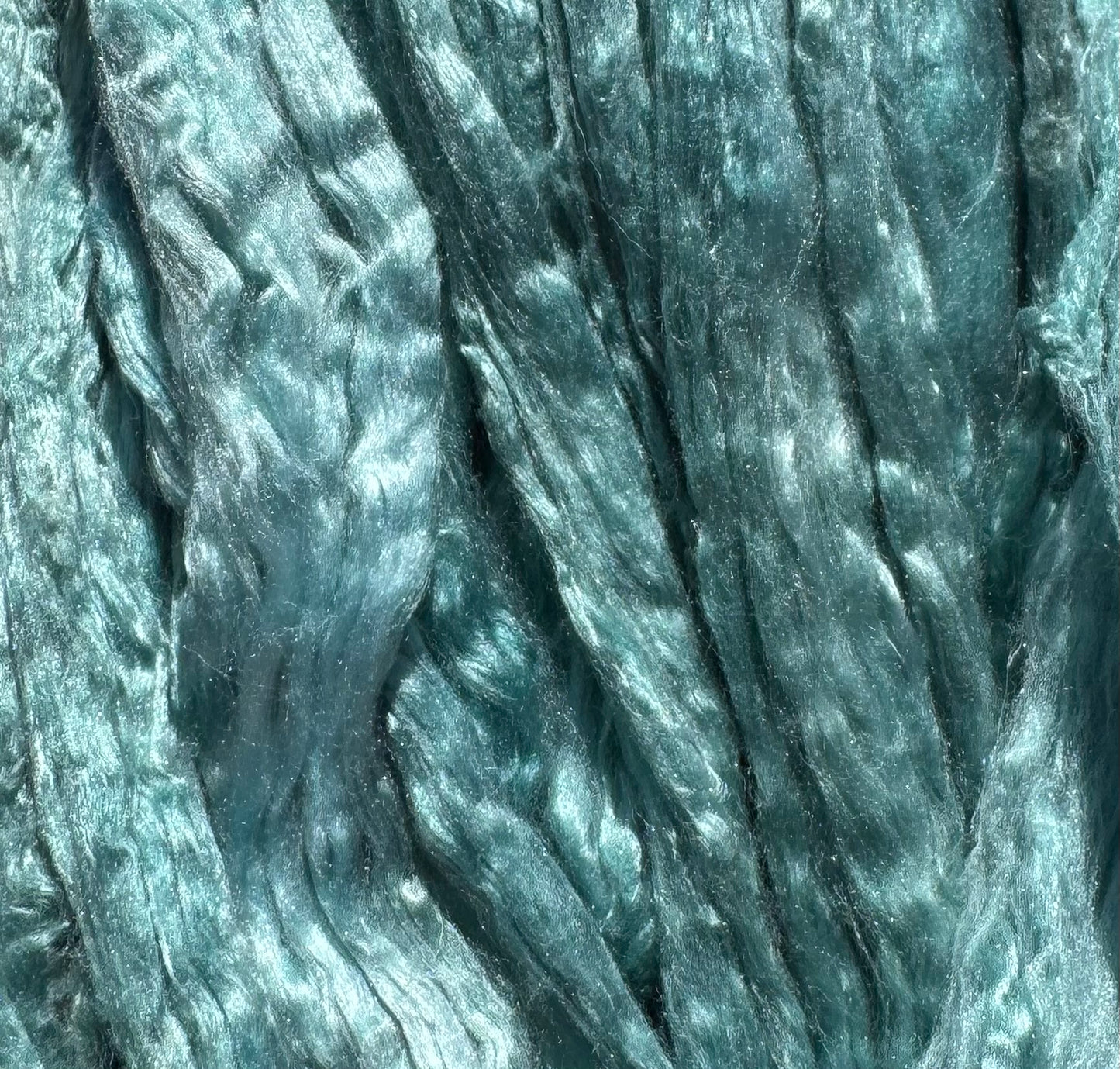 554-6 Blue Gum Tree