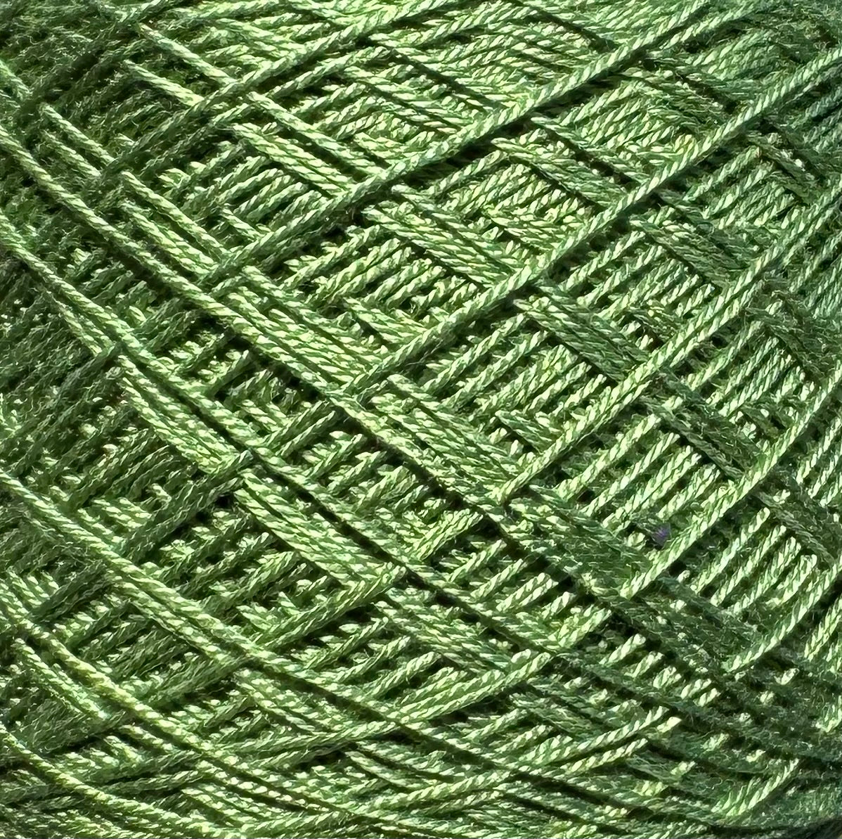 579-8 Greenskin Avocado